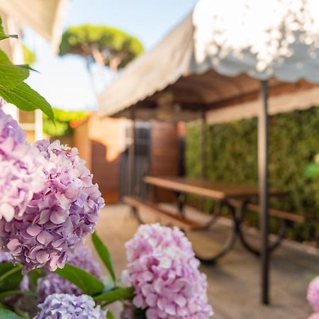 Apartment Holiday Versilia กาไมโยเร ภายนอก รูปภาพ
